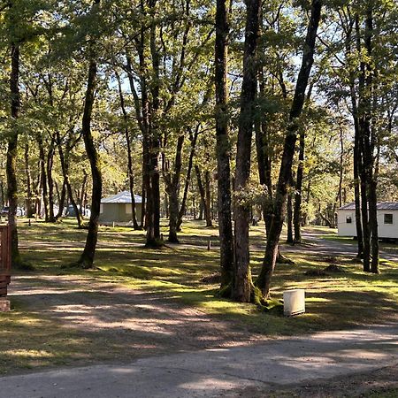 Camping Les Petites Minaudieres Coussay-les-Bois Luaran gambar